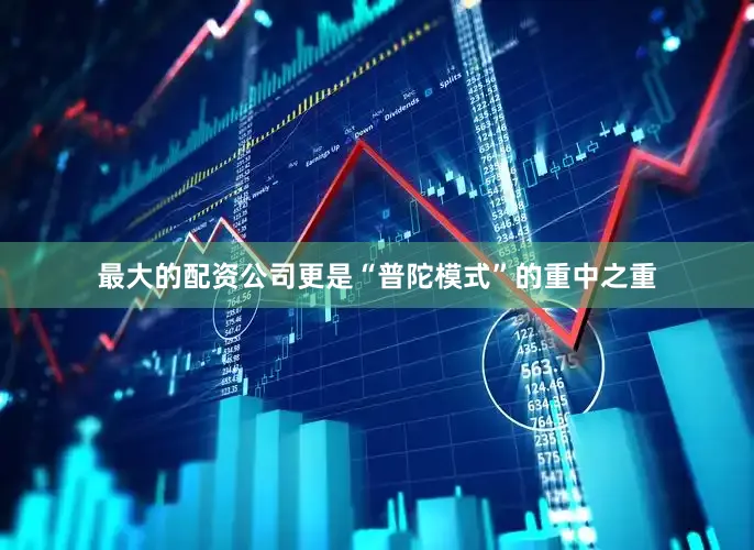 最大的配资公司更是“普陀模式”的重中之重
