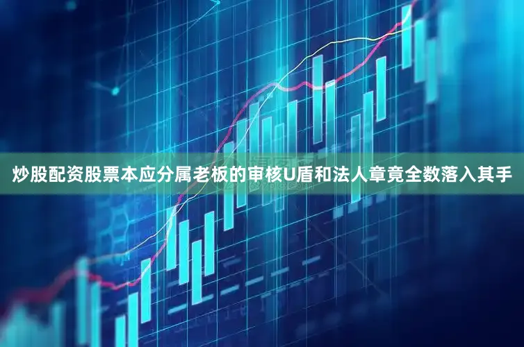 炒股配资股票本应分属老板的审核U盾和法人章竟全数落入其手