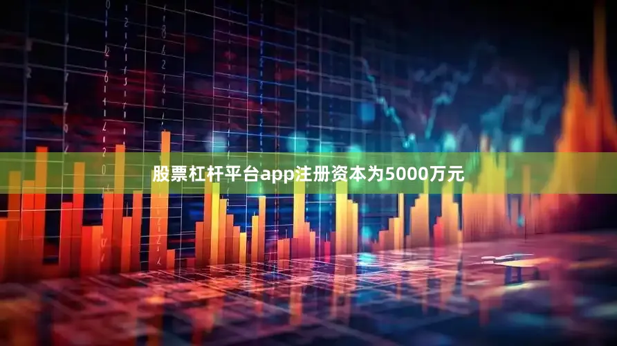 股票杠杆平台app注册资本为5000万元